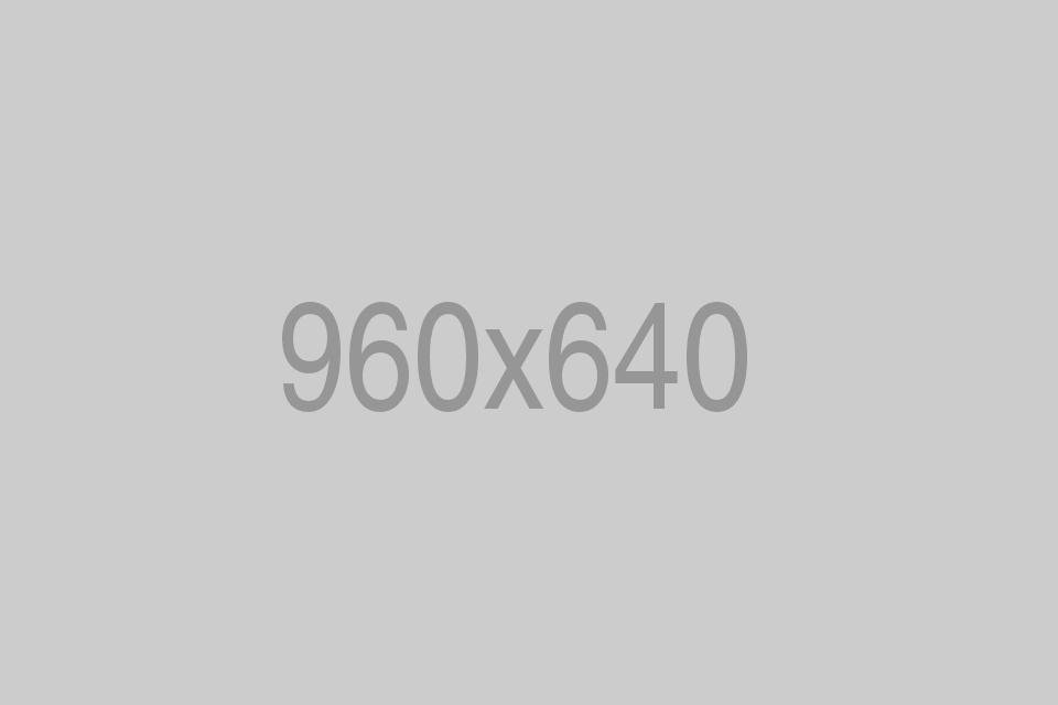 Consulting-Service-Image